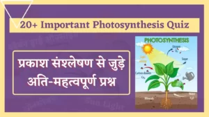 Read more about the article 20+ Most Important Photosynthesis Quiz in Hindi | पौधों में पोषण, प्रकाश संश्लेषण से संबंधित महत्वपूर्ण प्रश्न