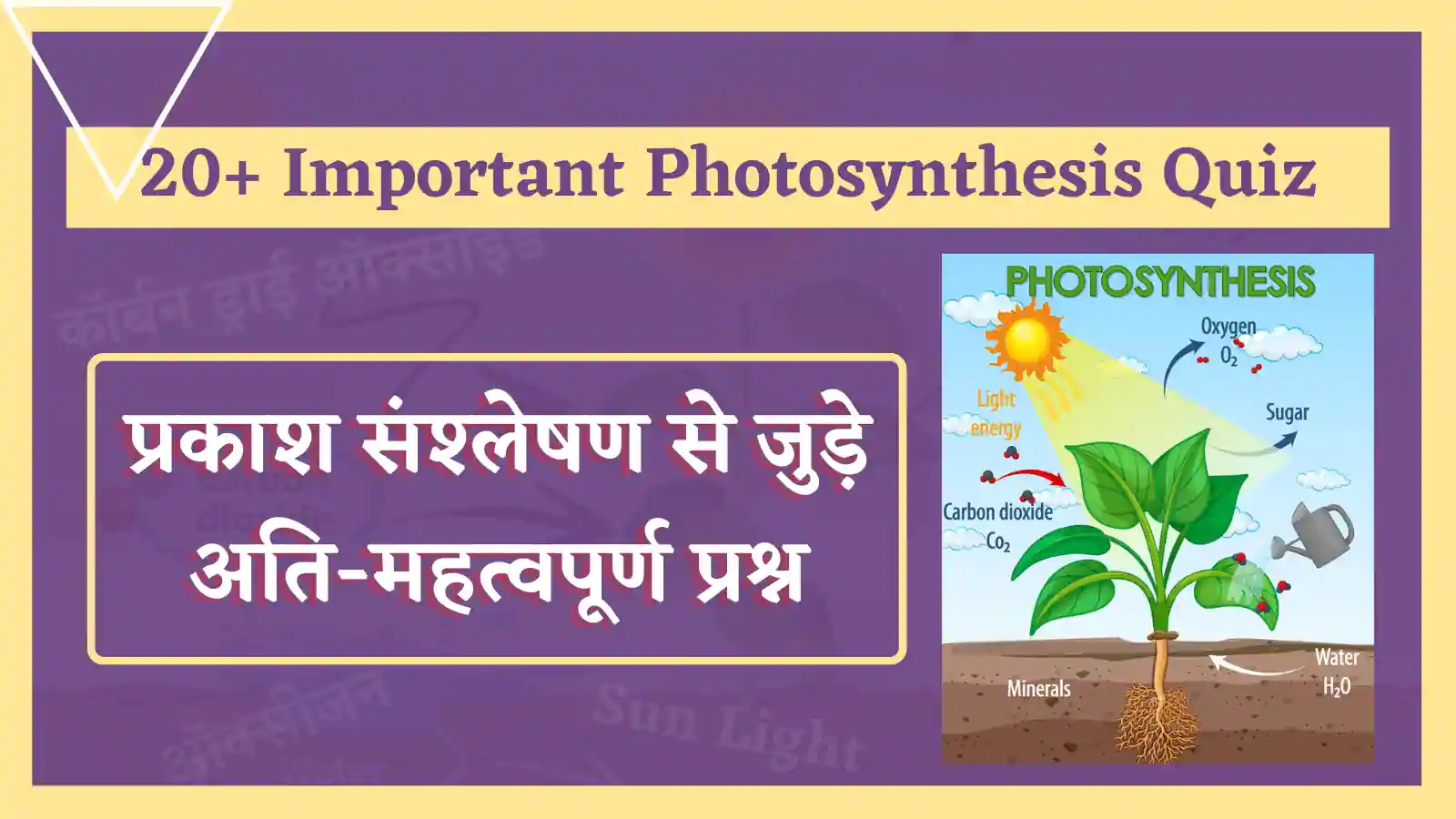 Photosynthesis Quiz in Hindi